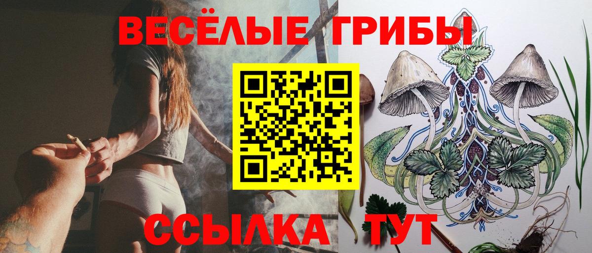 где можно купить наркотик  Псилоцибиновые грибы ЛСД  Вход с VPN  Улан-Удэ 