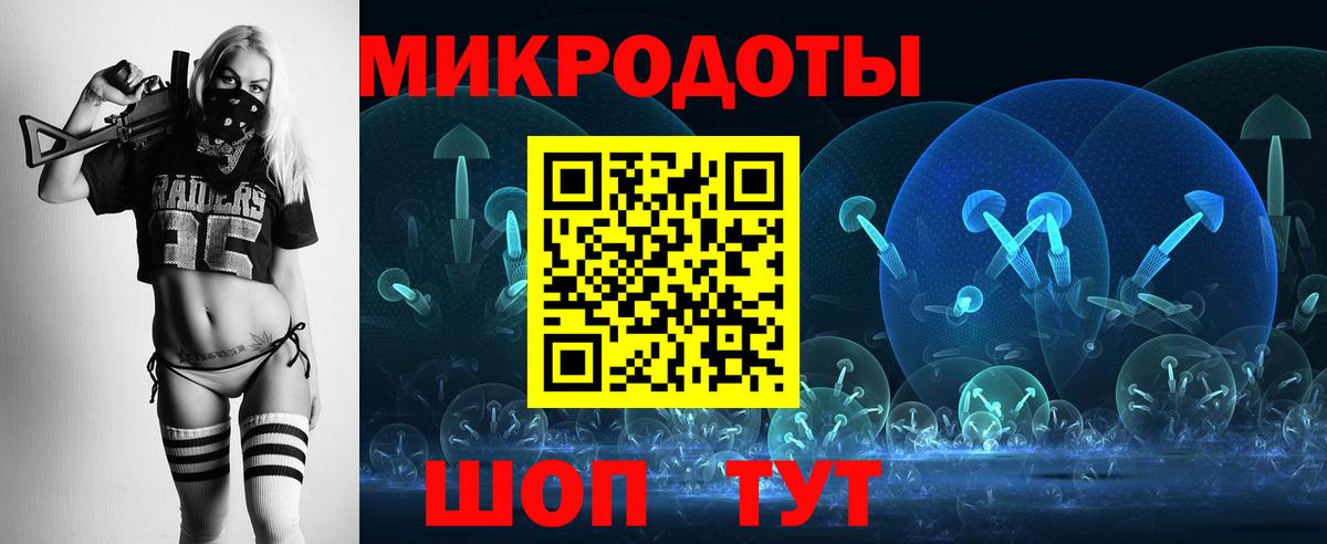 Псилоцибиновые грибы Psilocybe Улан-Удэ